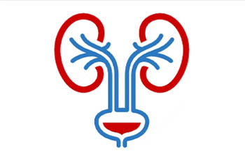 Urology